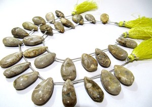 Cuentas de coral fósil natural en forma de pera, lisas y suaves, tipo briolette, en hilo de 8 pulgadas de largo. - Product Image 5