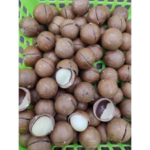 Wholesale Low Fat Health Snacks Milky Flavor Macadamia <b>Nuts</b> Delicious Roasted Macadamia <b>Kernel</b> - Product Image 4