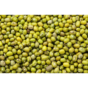 ถั่วเขียวคุณภาพส่งออก เกรดพรีเมียม สำหรับผู้ซื้อระหว่างประเทศ - Product Image 1