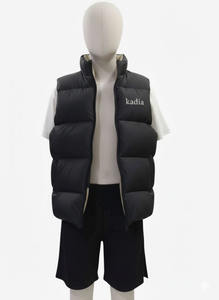 Veste sans manches pour homme, grande taille, imperméable, fermeture éclair, doublure en coton, style décontracté, doudoune d'hiver - Product Image 2