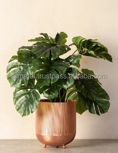 Tùy chỉnh Vàng <span class=keywords><strong>Babylon</strong></span> planter bột tráng kết thúc cho Trang chủ trang trại ban công trong nhà và ngoài trời trang trí sân vườn - Product Image 4