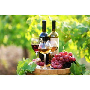 Vendanges de raisins frais pour la production de vin rouge, de vin blanc et de jus – Fournisseur en gros pour l'exportation, service OEM - Product Image 1