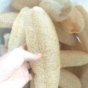 Esponja vegetal entera seca en forma natural, hecha de fibra vegetal, origen Vietnam - Esponja vegetal comprimida - Product Image 5