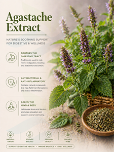 Hgo สารสกัดจาก Agastache ธรรมชาติบริสุทธิ์ (เกรดอาหาร) ข้อมูลจำเพาะ10:1 (สารสกัดอัตราส่วน) - Product Image 2