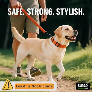 Titan Reflective <b>Collar</b> Pro OEM ODM Custom Logo Adjustable Reflective Dog <b>Collar</b> Direct Manufacturer - Product Image 2