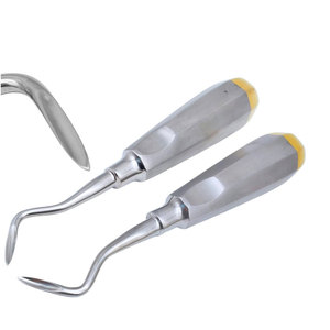 Élévateur dentaire manuel ergonomique professionnel à pointe courbée pour extraction chirurgicale des racines dentaires - Product Image 1