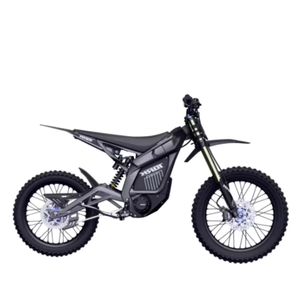 Vente directe usine : Nouvelle moto électrique tout-terrain Pro-Sport pour adultes, 1001-2000W, 110-240V, avec garantie de 2 ans, commande en gros - Product Image 1