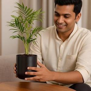 Maceta Metálica Moderna en Miniatura para Decoración de Sala de Estar y Mesa, Elegante Maceta Pequeña para Interiores, Maceta Decorativa de Metal I - Product Image 5