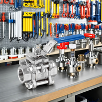 Vanne à boisseau sphérique en acier inoxydable LYC BT-3AK 1 pouce, capacité 1000 PSI, DN15-DN50, passage plein, commande manuelle, filetage BSP, OEM, eau, huile, gaz