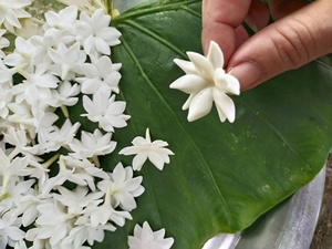 Handmade Blooming Clay Jasmine <b>Flower</b> | Thai Jasmine Blossom Clay <b>Flower</b> Realistic Floral Decoration <b>artificial</b> jasmine garland - Product Image 6