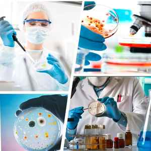 Boîte de Pétri en verre réutilisable certifiée CE, capacité de 60 mm, non stérile, alimentation manuelle pour utilisation en laboratoire - Product Image 3