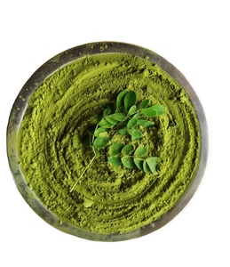 Poudre de Moringa biologique à prix de gros d'Inde - Product Image 1
