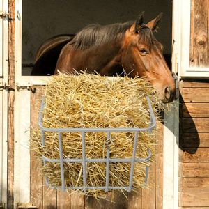 Comedero de Heno de Acero Resistente de 22.8 Pulgadas de Largo, Montado en la Pared, para Caballos y Cabras, de Gran Capacidad, con Múltiples Lados - Product Image 2