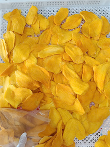 Dried mango chewy tropical fruit <b>bars</b> wholesale from Vietnam perfect for retail chains and food importers - Product Image 4