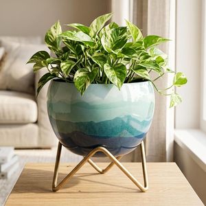 Pot de fleurs moderne en métal avec support, décoration esthétique pour bureau, chambre, hall, table à manger, cadeaux de déménagement au meilleur prix - Product Image 1