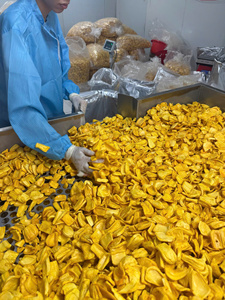 Chips de Jaca Tropical Crujientes para Cadenas de Minoristas y Tiendas de Conveniencia Modernas - Product Image 6