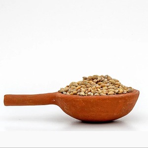 Suministro a granel de cebada para alimentación animal, producida a partir de cultivos con estándares de molienda limpios y empaques flexibles para compradores importadores. - Product Image 2