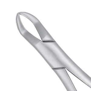 Pinzas de Extracción de Molares Superiores Nevius 88L, Acero Inoxidable, Instrumento Quirúrgico Dental, Juego de Herramientas para Extracción de Dientes - Product Image 4