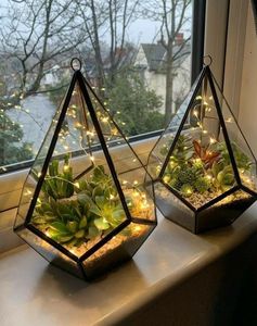 Terrario de Metal y Vidrio Personalizado, Moderno, para Plantas de Interior, Suculentas, Plantas Aéreas y Terrarios DIY - Product Image 2