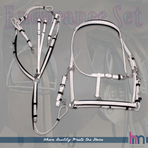HM GLOBAL Equestrian Ensemble d'endurance complet en Biothane authentique / PVC premium - Product Image 2
