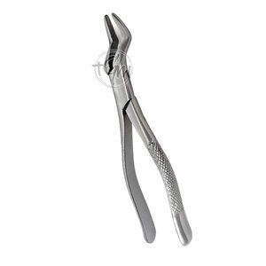 Pinzas de Extracción de Acero Inoxidable Duradero, Herramienta de Cirugía Dental, Agarre Preciso, Instrumento de Cuidado Bucal - Product Image 6