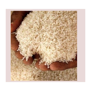 Riz Basmati à la vapeur abordable pour les achats en gros et l'approvisionnement alimentaire économique - Product Image 3
