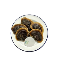 Boire du thé aux champignons Reishi séchés à bords dorés