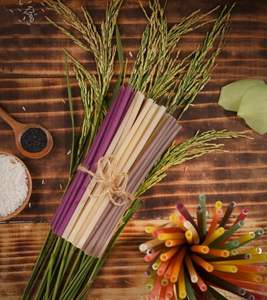 Vente en gros de pailles jetables biodégradables Approvisionnement en vrac écologique pour restaurants, bars et plats à emporter - Product Image 5