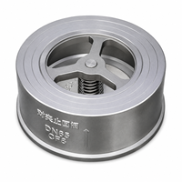 Válvula de Retención de Tipo Wafer de Acero Inoxidable Industrial SS304 PN16 con Resorte para Agua, Aceite, Vapor y Tuberías Químicas