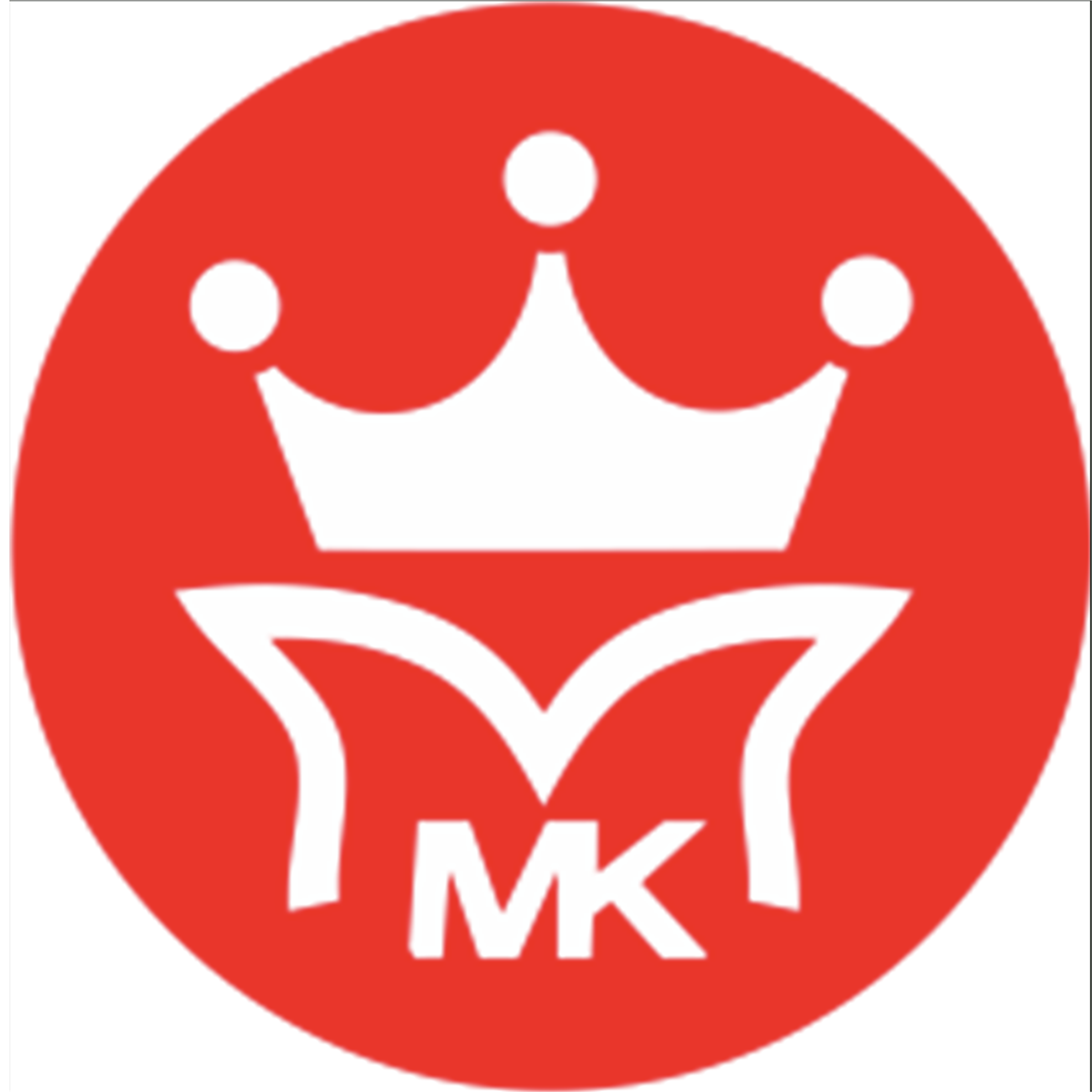 Merryking Technology (Guangdong) Co., Ltd. logo