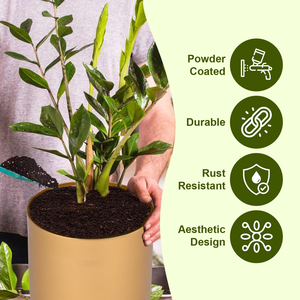 Maceta Redonda Resistente, Decorativa, de Alta Calidad, para Plantas, para Oficina, Interiores, Exteriores, Jardín, Césped, Balcón - Product Image 3