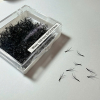Extensions de cils Promade faites à la main, volume 2D-20D, courbure C CC D, mixtes, longueurs variées, base pointue, 0,07 mm