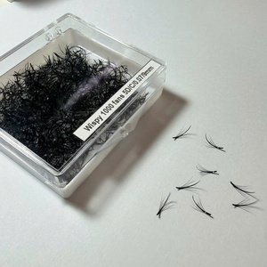 Extensions de cils Promade faites à la main, volume 2D-20D, courbure C CC D, mixtes, longueurs variées, base pointue, 0,07 mm - Product Image 2