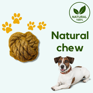 HOT SELLING 100% Natural Coir Chew Ball Coconut Fiber Pet <b>Toy</b> Biodegradable Husk Sphere For <b>Dogs</b> Teeth Cleaning Molar Grinding - Product Image 3