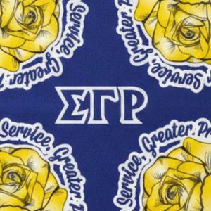 Écharpe Sigma Gamma Rho Bleu Royal et Or, Accessoire de Mode Léger et Élégant pour Sororité Grecque, Idéal comme Cadeau - Product Image 3