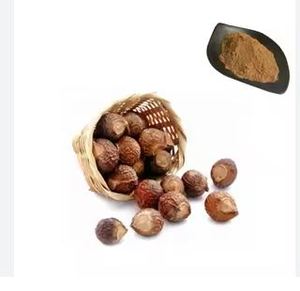 เทอร์รา ไบโอ เนเชอรัลส์ น้ำยาทำความสะอาดอเนกประสงค์ สารสกัดจากเมล็ดสบู่เหลว ส่งออกในราคาที่ดีที่สุด ผลิตในอินเดีย - Product Image 3