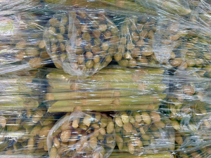 สินค้าขายดี |   อ้อยแช่แข็งแบบ IQF ชนิดราสเบอร์รี่ สำหรับคั้นน้ำผลไม้สด ขายส่ง บลูโลตัส - Product Image 6
