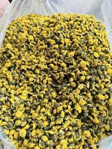 Proveedor de Fábrica en Vietnam de Flores de Manzanilla Secas para Té Herbal, Venta al Por Mayor, Fabricante y Exportador - Product Image 4