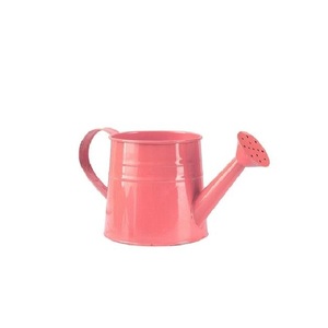 Arrosoir en métal de qualité supérieure pour l'entretien des plantes de jardin, pot à eau durable avec long bec verseur, taille et couleur personnalisables - Product Image 1