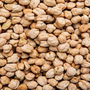 Harvest Fresh - Pois chiches Kabuli croustillants 100% naturels séchés au soleil (10mm) 25kg/sac Humidité 14% max. Impuretés 0,5% max. - Product Image 6