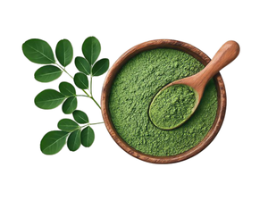 Fournisseur de poudre de Moringa séchée naturelle, prix de gros de haute qualité, fabriqué au Vietnam, complément alimentaire botanique pour la santé quotidienne - Product Image 1