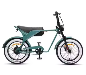 PRÊT À EXPÉDIER Moto électrique tout-terrain 20 pouces à 3 vitesses, moteur 250W, OEM ODM DIY Industriel - Product Image 3