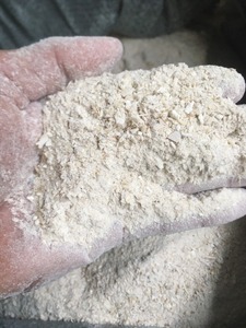 !!! <b>CHEAP</b> - DIRECT SOURCE Dried Cuttlefish Bone High Quality for Global Buyers Cleaned Truncated High Calcium 35% 10kg/Carton - Product Image 3
