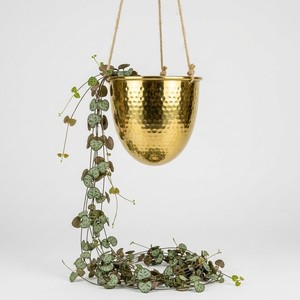 Modern Hanging Plain Metal Flower <b>Pot</b> <b>Oval</b> Pattern Electro Plated Durable Lightweight Medium Capacity for Desktop/Tabletop - Product Image 3