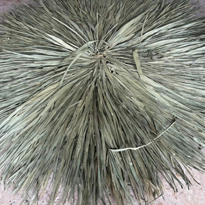 Cubierta de sombrilla plegable de paja premium de 2.6m para resort y exteriores, decoración de resort playero, hecha a mano, estilo tropical - Product Image 1