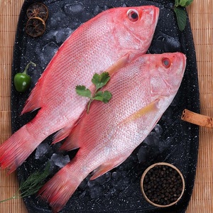 Poisson de mer rouge congelé sélectionné pour les restaurants, les hôtels et les détaillants de produits de la mer recherchant une saveur de qualité et un approvisionnement constant - Product Image 1
