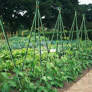 6ft Fiberglass Reinforced <b>Plastic</b> Bar/Strips/Pole for Fence Posts and Farming - Product Image 2