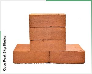Superior Quality Coconut <b>Coir</b> Peat or Coco Pith 5kg <b>Blocks</b> for Buyers in Slovenia - Product Image 3