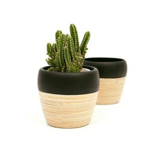 Macetas de Bambú Natural Tejido, Mini Macetas de Interior para Decoración del Hogar y Jardín, Directamente de Vietnam - Product Image 3