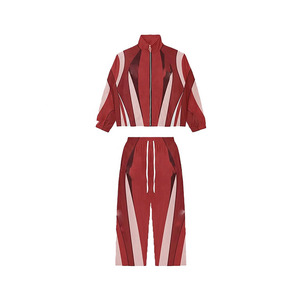 Ensemble de survêtement pour homme en tissu polaire style coupe-vent à col montant, pantalon de survêtement et veste avec cordon de serrage ajustable à la taille - Product Image 2